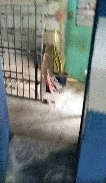 ISG Central Village Taguig Room For Rent