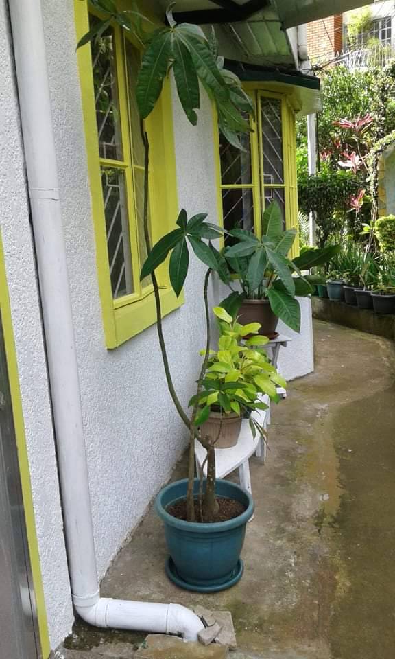 2BR Semi Furnished For Rent