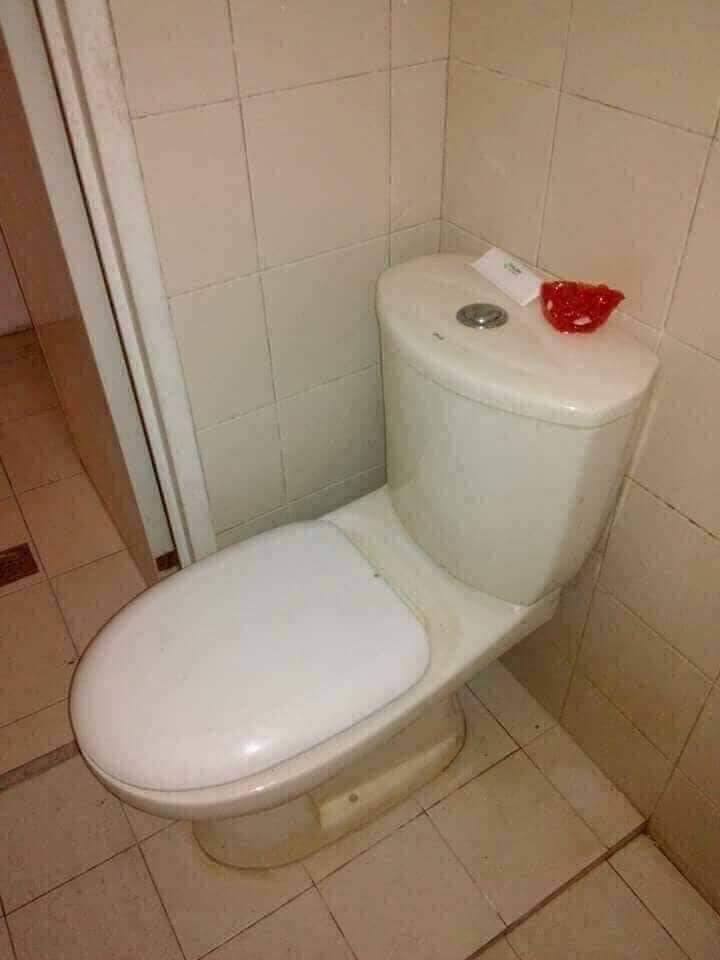 Albert's Room for Rent