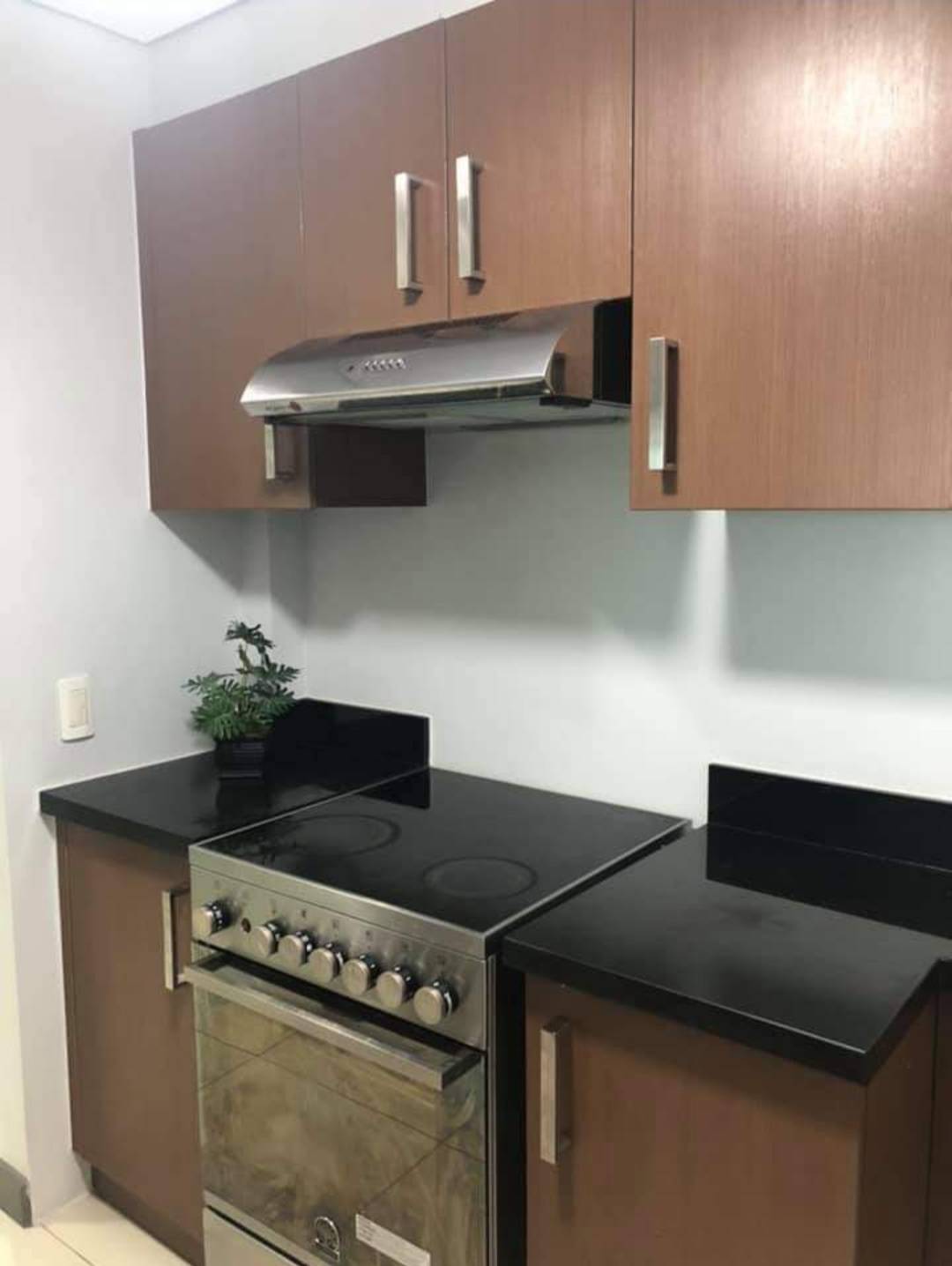 2BR Serendra Condominium For Rent