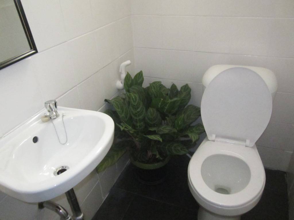 CLEAN COMFORTABLE  BEDSPACE FOR LADIES