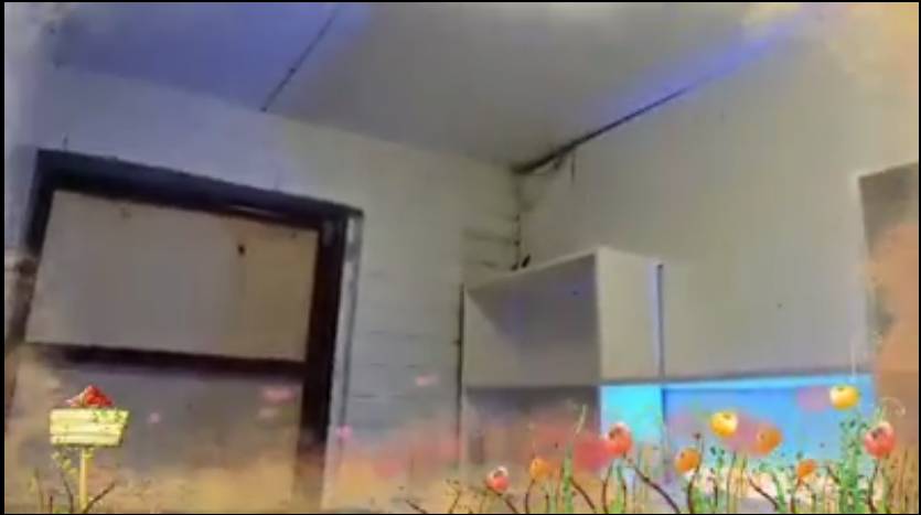 Winterville Mansion Male Bedspacer