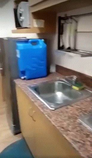 1 BR Unit For Rent At Tropicana Garden