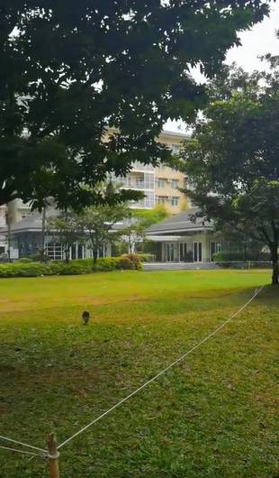 Red Oak Two Serendra Unit For Rent