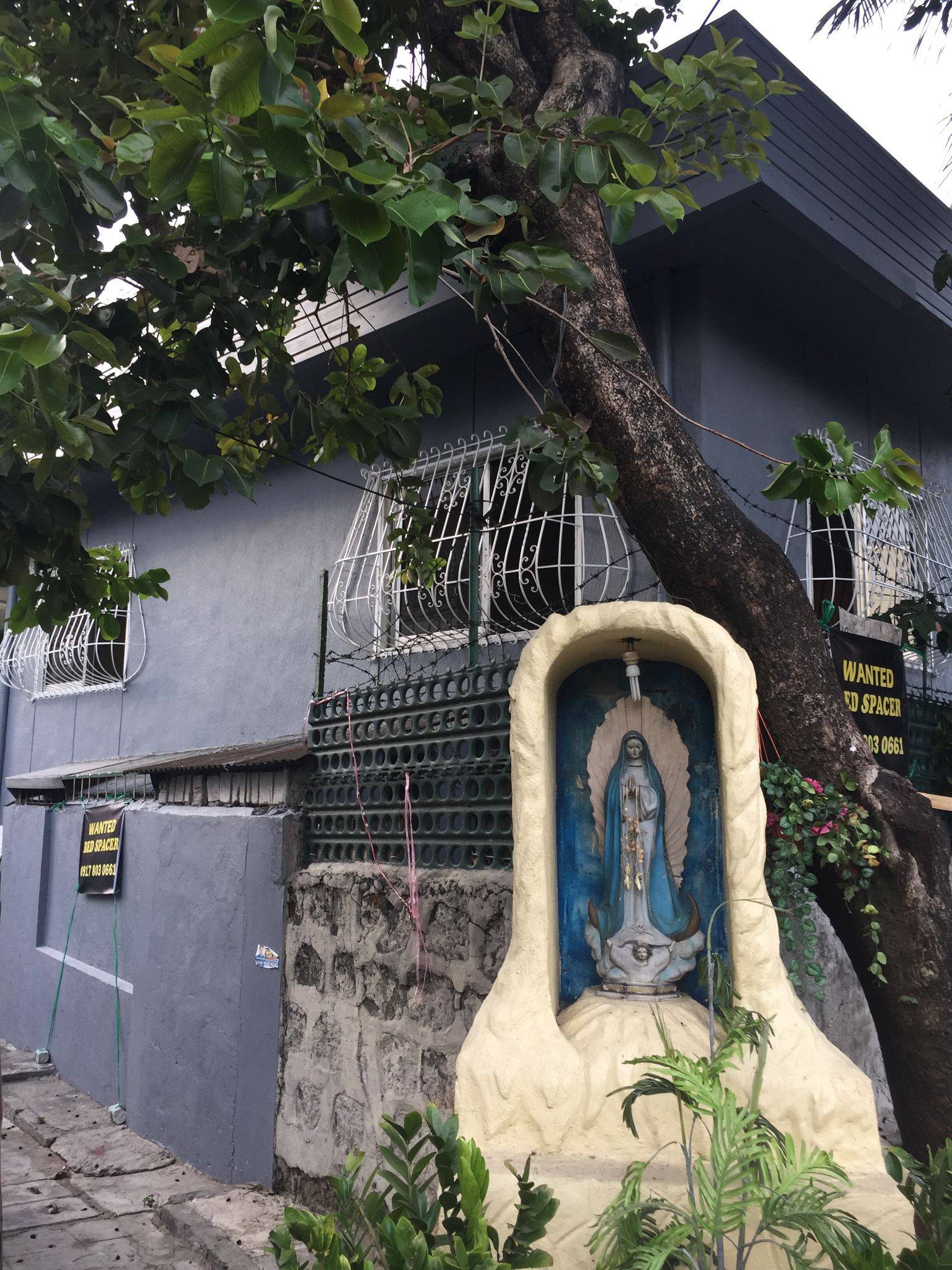 Guadalupe Viejo Bedspacer