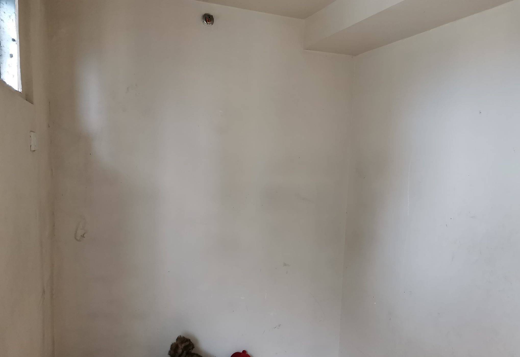 Unit For Rent At Trevi Towers