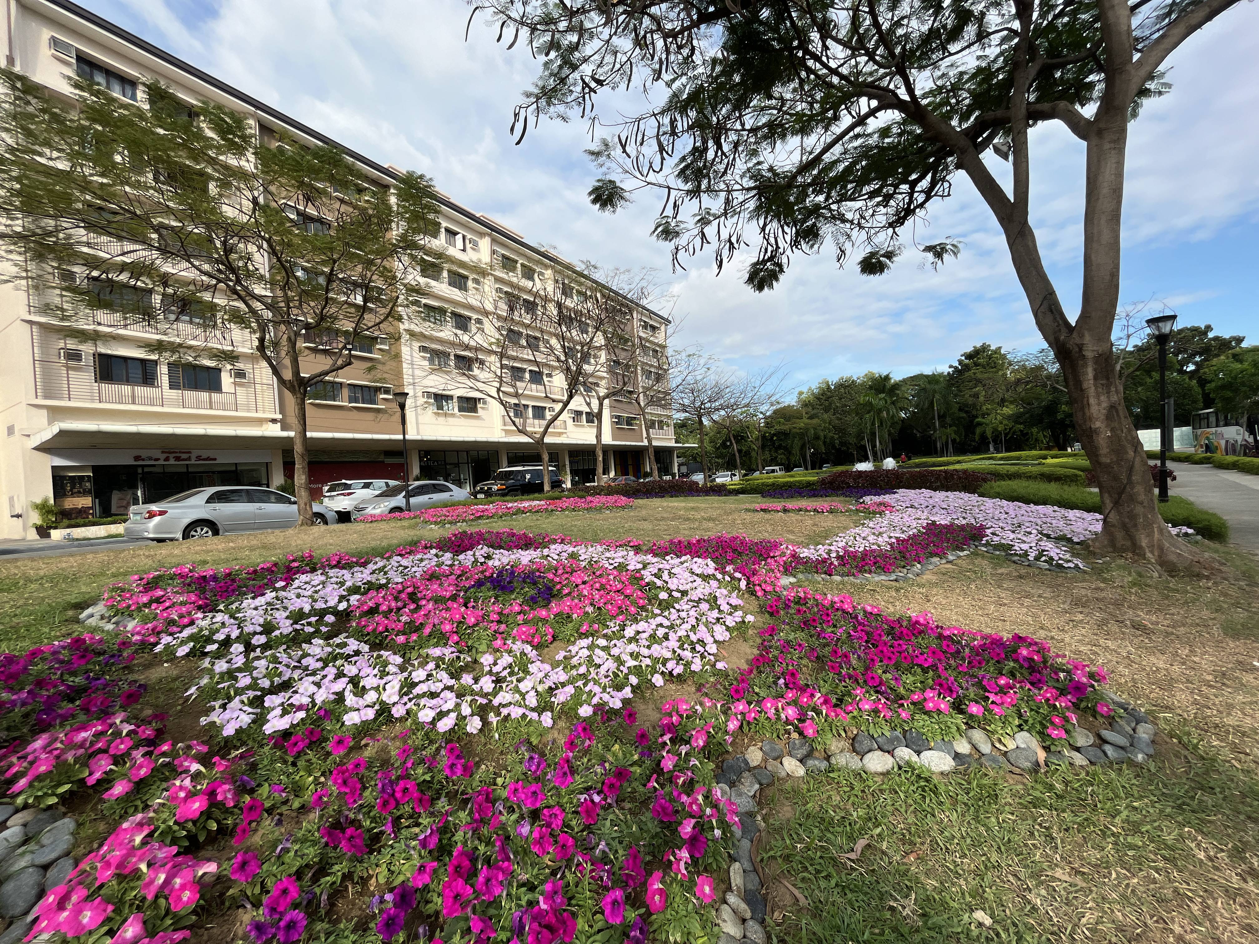 The Wood Ridge Residences at McKinley 