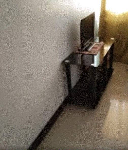 1BR Condo Unit For Rent At Peacock Drive