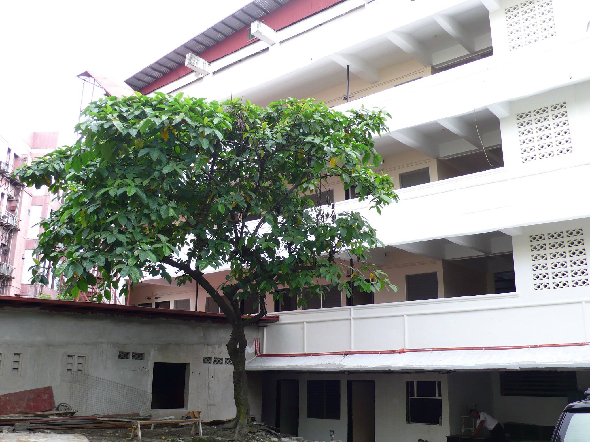 Sta Philomena Residences Dormitel